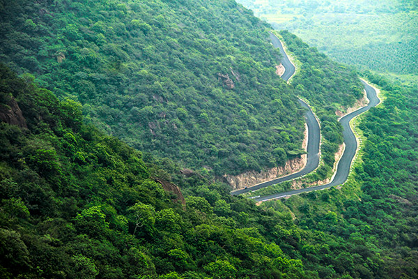 Kodaikanal hills